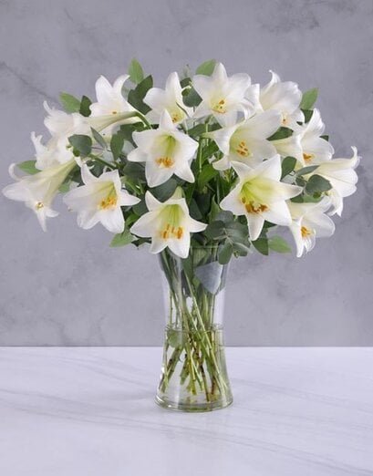 Elegant White Lilies