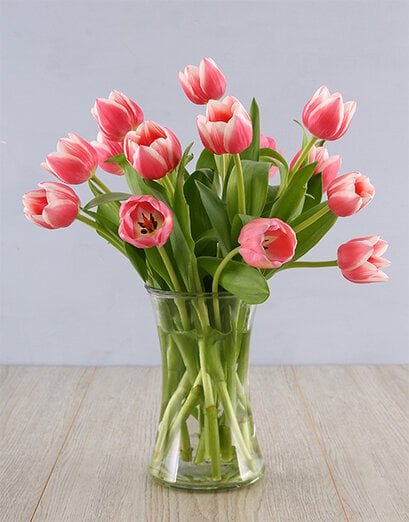 Pink Tulips in a Clear Vase