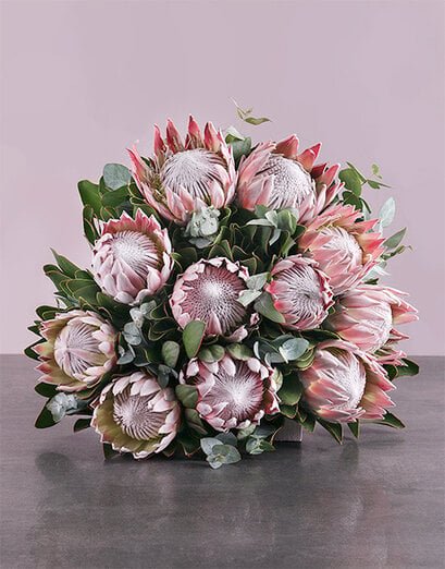 King Protea Bouquet - Product image