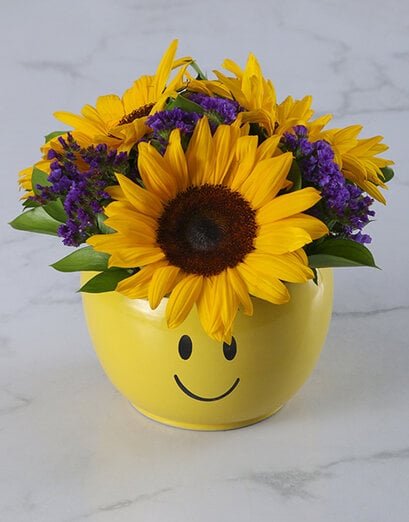 Sunflower Smiley Pot - Product image