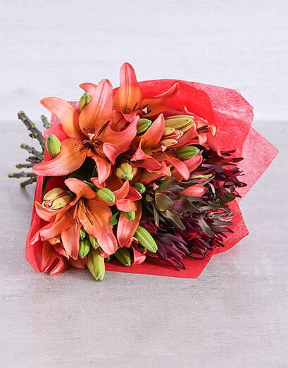 Sunset Asiflorum Lily Surprise