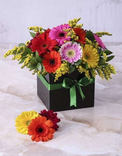 Gerberas Of Splendour Gift Box