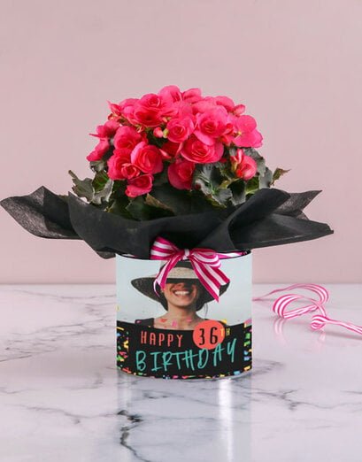 Personalised Begonia Birthday Arrangement - Product image