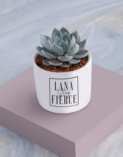 Personalised Stay Fierce Succulent - Product image