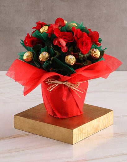 Edible Begonia Arrangement