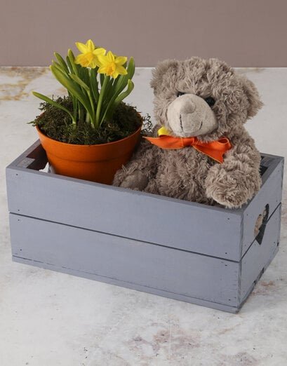 Hugs And Kisses Daffodil Crate - Product image