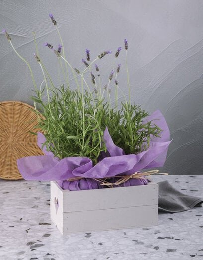 Lavender Heart Crate - Product image