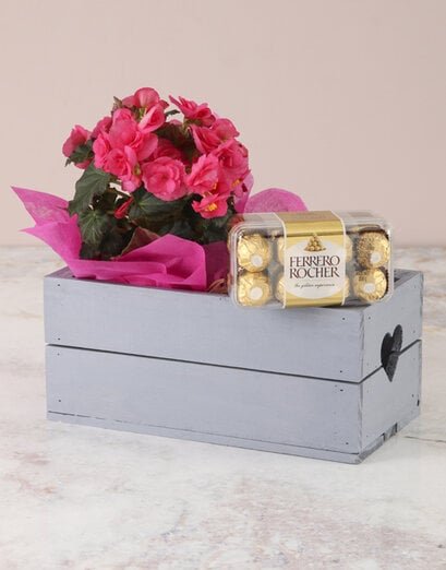Pink Begonia with Chocs Heart Crate - Product image