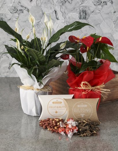 Anthurium And Peace Lily Gourmet Crate