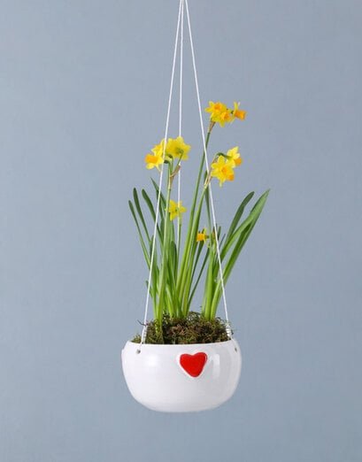 Daffodils In Hanging Pot