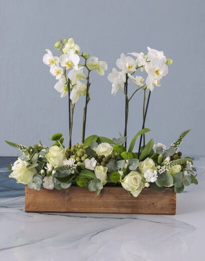 Orchid And Mixed Blooms In A Wooden Box
