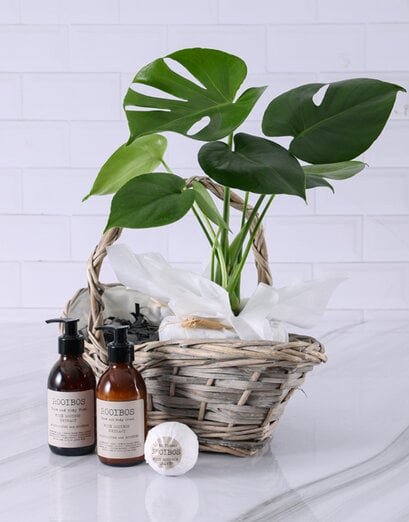 Magnificent Monsteria Bath Hamper - Product image
