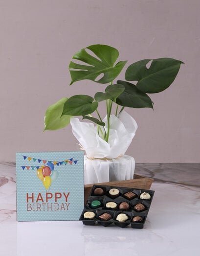 Monsteria Birthday Hamper - Product image