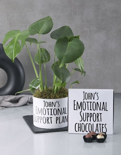Emotional Support Monstera - Product image