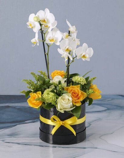 Whimsical White Orchids With Mixed Blooms