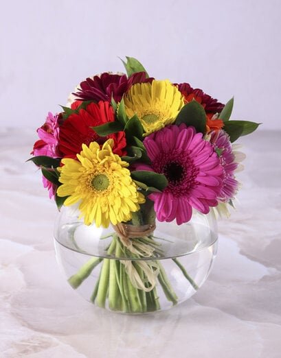 Gerbera Melange In A Small Fishbowl