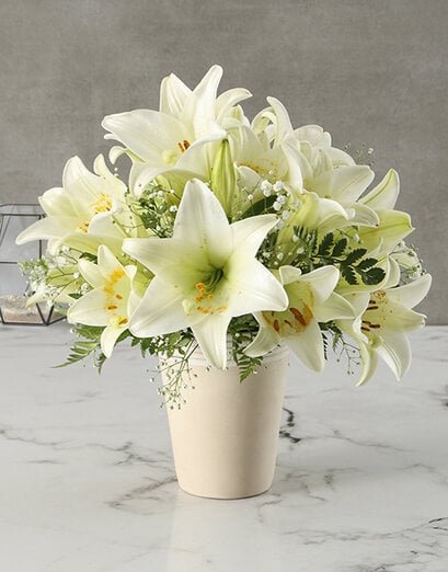 Brilliant White Lily Arrangement