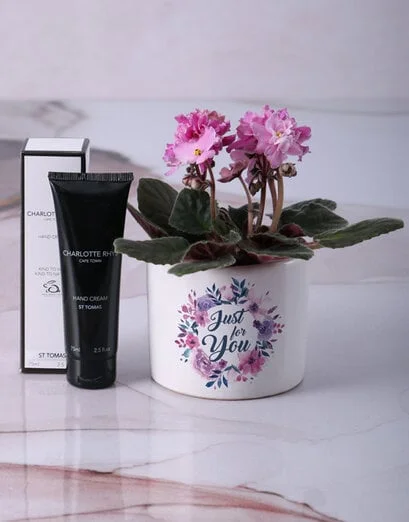 African Violets For You - Product image