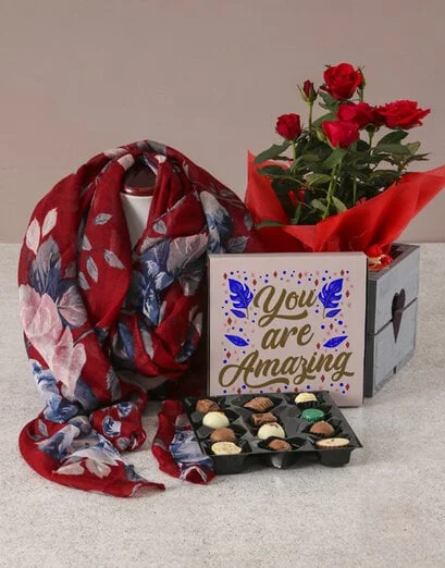 Amazing Red Rose Bush Gift Set - Product image