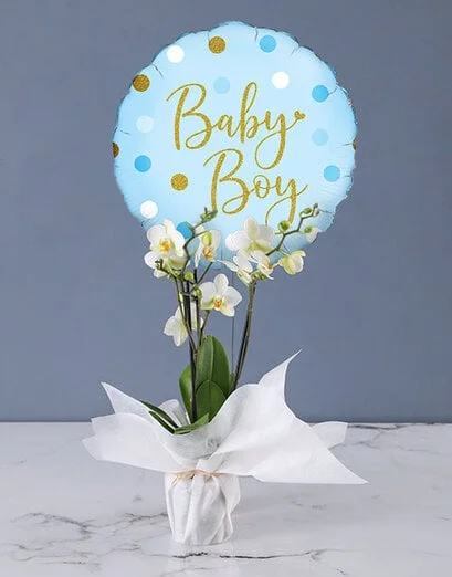 Baby Boy White Orchid Giftset - Product image