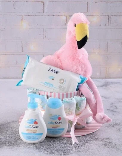 Baby Girl Starter Hamper - Product image