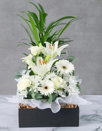 Bamboo And Angelic Blooms - Product image