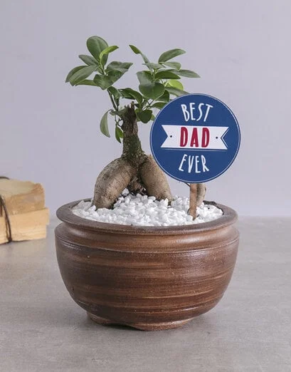 Best Dad Bonsai - Product image