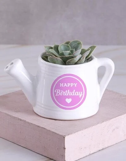 Birthday Mini Succulent Jug - Product image