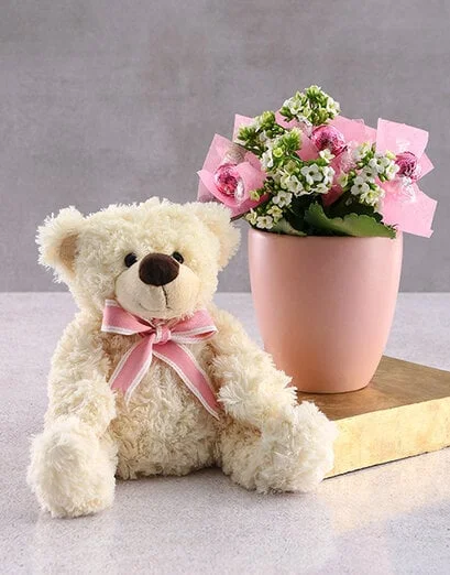 Blooming Kalanchoe and Teddy - Product image