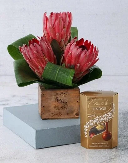 Blooming Protea Sensation - Product image