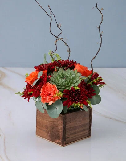 Bright Mix Of Succulents And Bloom - Product image