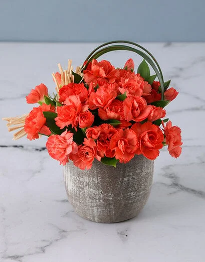 Cheerful Mini Carnations in Pottery Vase - Product image