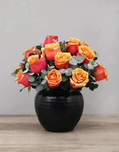 Cherry Brandy Roses in Black Ceramic Pot - Product image