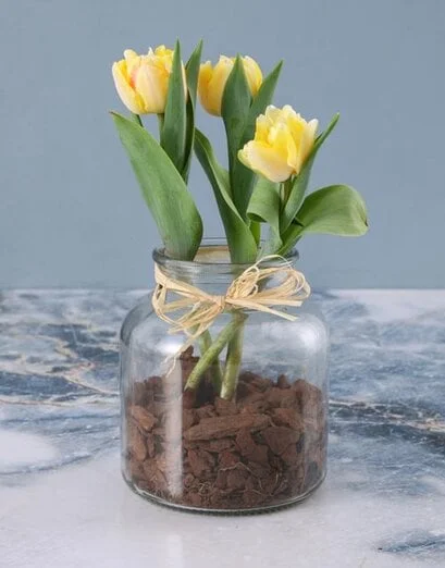 Colourful And Tasteful Tulips - Product image
