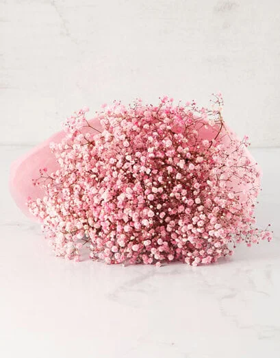 Coral Million Stars Bouquet - Product image