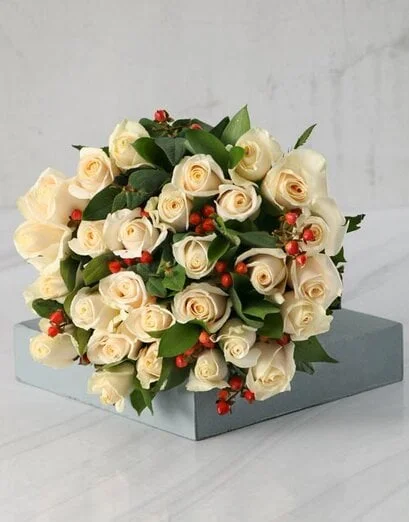 Cream Rose Elegance - Product image