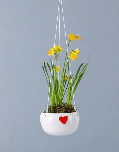 Daffodils In Hanging Pot - Product image