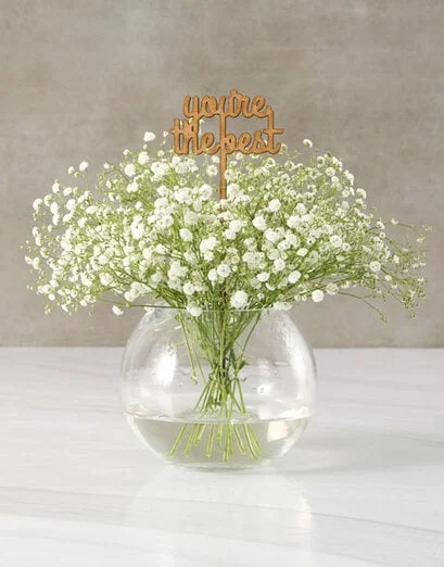 Dainty With Million Stars In Bowl - Product image