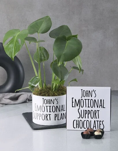 Emotional Support Monstera - Product image