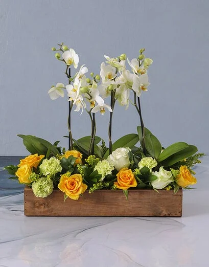 Extraordinary Orchids And Mixed Blooms in Wooden C - Product image