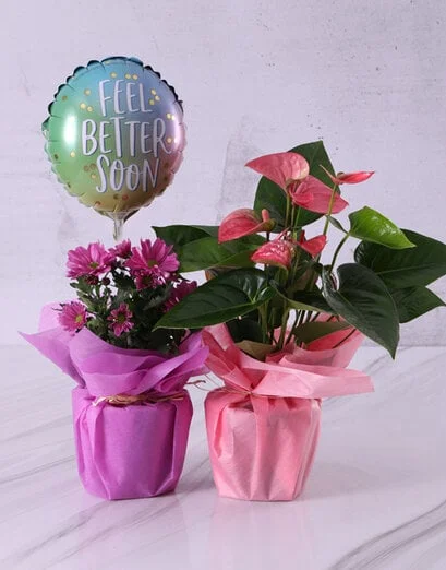 Feel Better Lily And Chrysanthemum Hamper - Product image