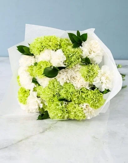 Gorgeous White And Green Carnation Bouquet - Product image