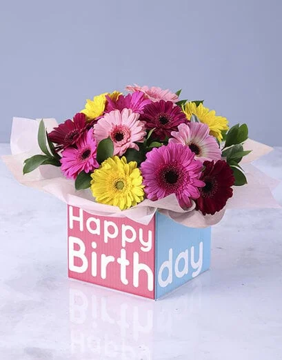 Happy Birthday Box of Mini Gerberas - Product image