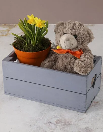 Hugs And Kisses Daffodil Crate - Product image