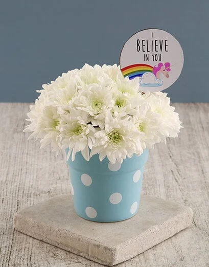 I Believe In You Sprays In Pot - Product image