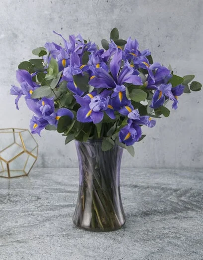 Idyllic Indigo Irises - Product image