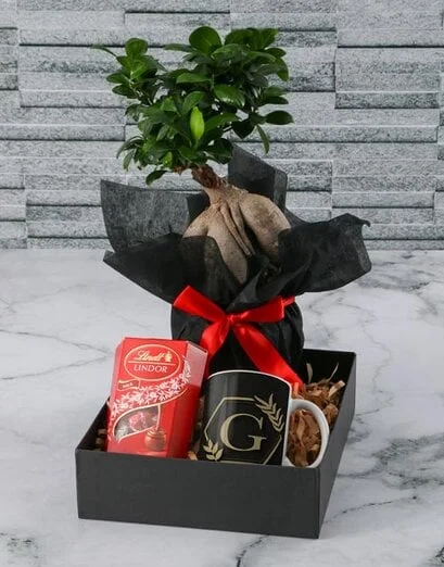 Initial Bonsai In White Wrapping - Product image