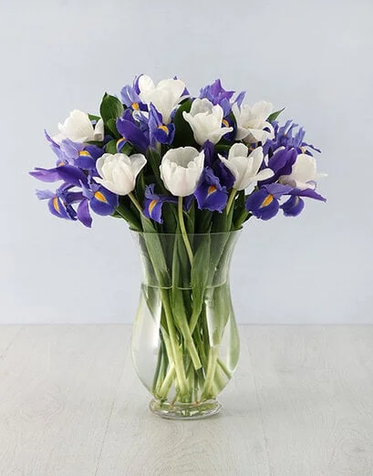 Irises & Tulips in Hurricane Vase - Product image