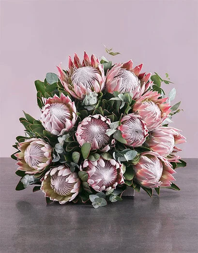King Protea Bouquet - Product image