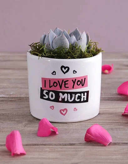 Love You Succulent - Product image